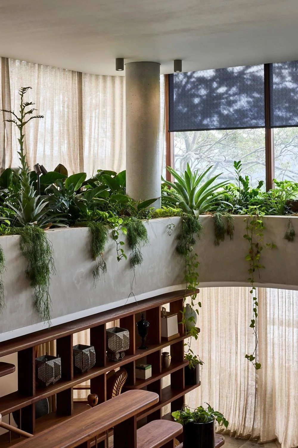Jamie Durie’s Northern Beaches Home: A Showcase of Biophilic Architecture , spacious living space, with large windows and natural light, unique furniture, customized shelves and sea of plunts