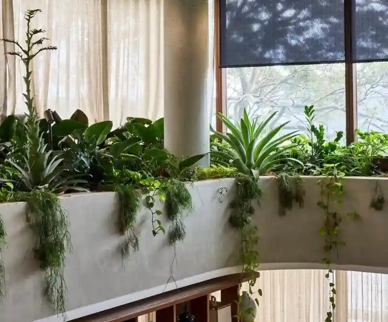Jamie Durie’s Northern Beaches Home: A Showcase of Biophilic Architecture , spacious living space, with large windows and natural light, unique furniture